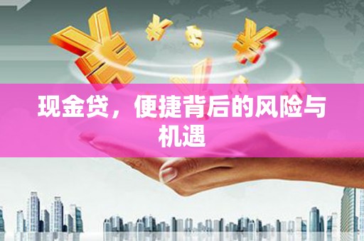 海宁现金贷，便捷背后的风险与机遇
