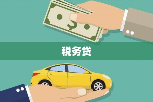 海宁税务贷