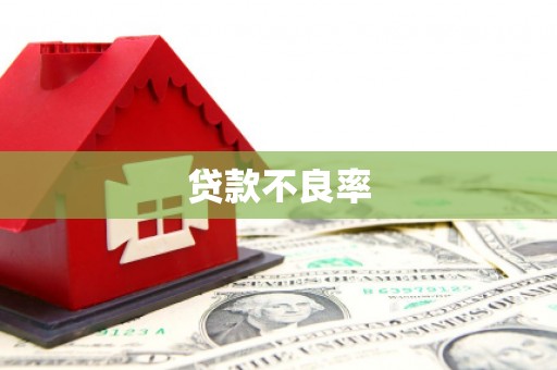 海宁贷款不良率