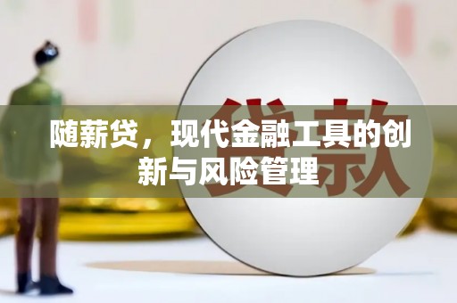 海宁随薪贷，现代金融工具的创新与风险管理