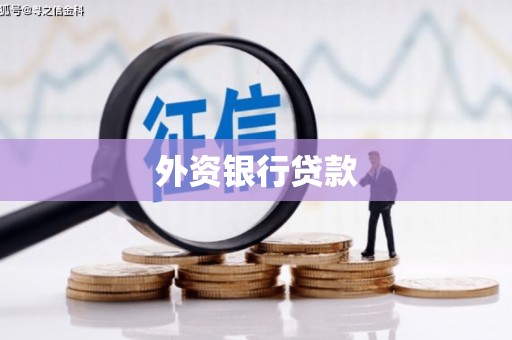 海宁外资银行贷款