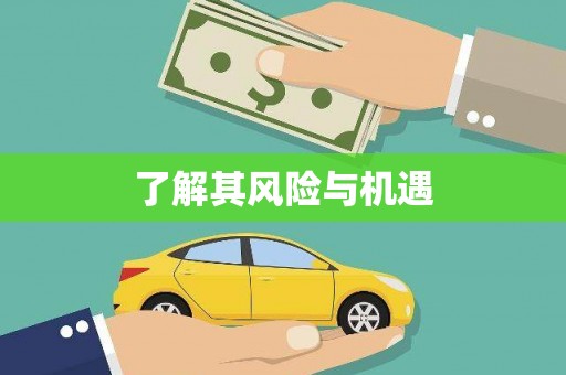 海宁了解其风险与机遇