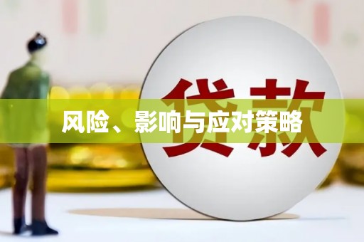 海宁风险、影响与应对策略