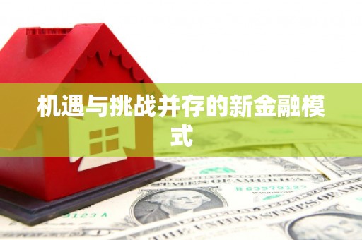 海宁机遇与挑战并存的新金融模式