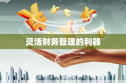 海宁灵活财务管理的利器