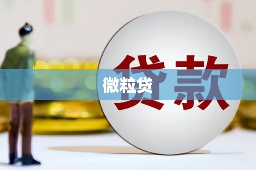 海宁微粒贷