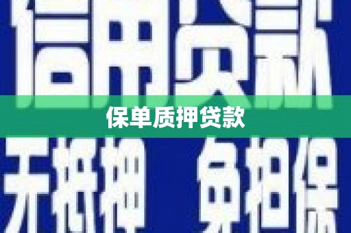 海宁保单质押贷款