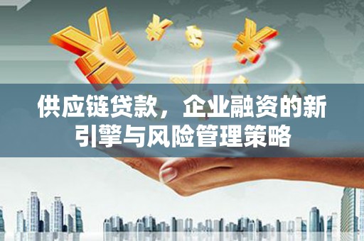 海宁供应链贷款，企业融资的新引擎与风险管理策略