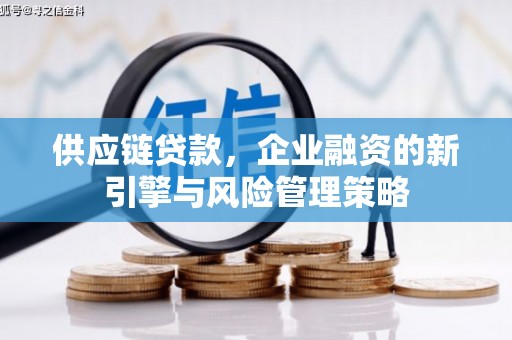 海宁供应链贷款，企业融资的新引擎与风险管理策略