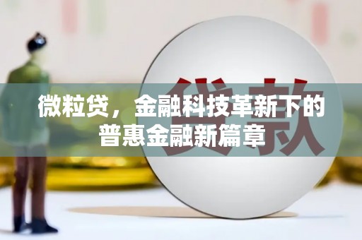 海宁微粒贷，金融科技革新下的普惠金融新篇章