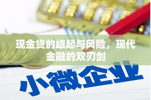 海宁现金贷的崛起与风险，现代金融的双刃剑