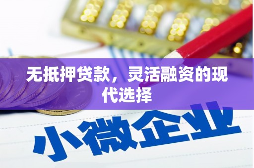 海宁无抵押贷款，灵活融资的现代选择