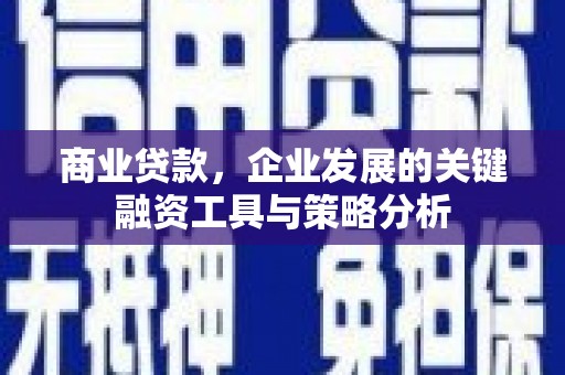 海宁商业贷款，企业发展的关键融资工具与策略分析