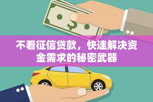 海宁不看征信贷款，快速解决资金需求的秘密武器
