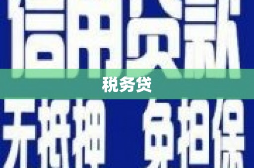 海宁税务贷
