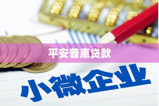 海宁平安普惠贷款