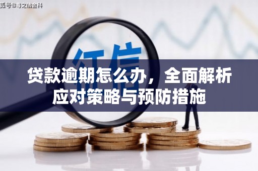 海宁贷款逾期怎么办，全面解析应对策略与预防措施
