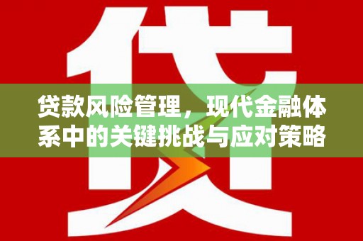 海宁贷款风险管理，现代金融体系中的关键挑战与应对策略
