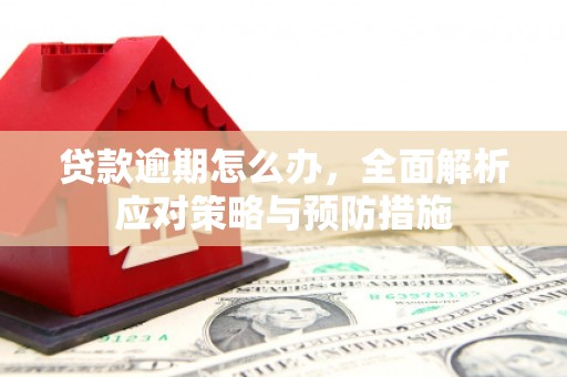 海宁贷款逾期怎么办，全面解析应对策略与预防措施