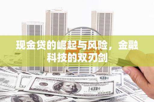 海宁现金贷的崛起与风险，金融科技的双刃剑