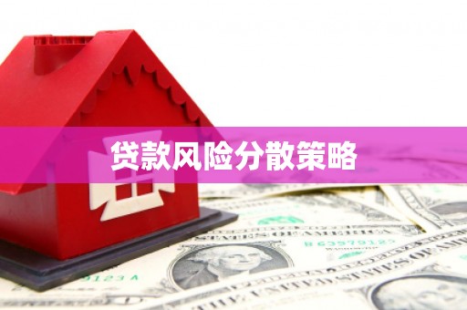 海宁贷款风险分散策略