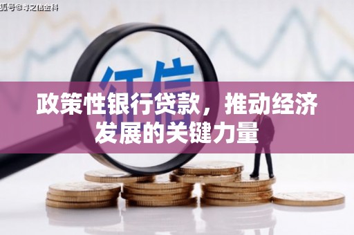 海宁政策性银行贷款，推动经济发展的关键力量