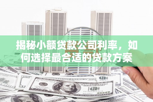海宁揭秘小额贷款公司利率，如何选择最合适的贷款方案
