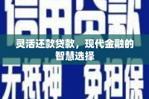 海宁灵活还款贷款，现代金融的智慧选择