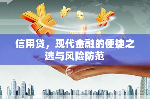 海宁信用贷，现代金融的便捷之选与风险防范