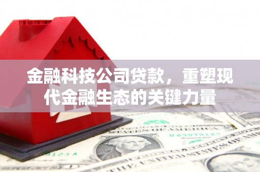 海宁金融科技公司贷款，重塑现代金融生态的关键力量
