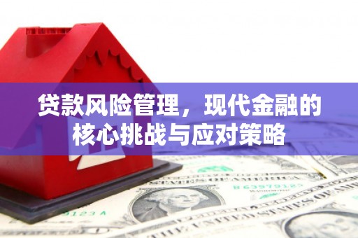 海宁贷款风险管理，现代金融的核心挑战与应对策略