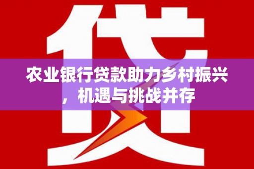 海宁农业银行贷款助力乡村振兴，机遇与挑战并存