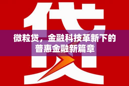 海宁微粒贷，金融科技革新下的普惠金融新篇章