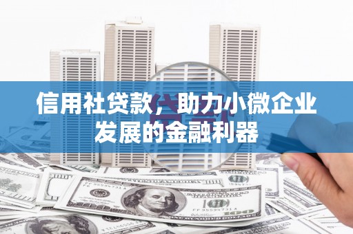 海宁信用社贷款，助力小微企业发展的金融利器