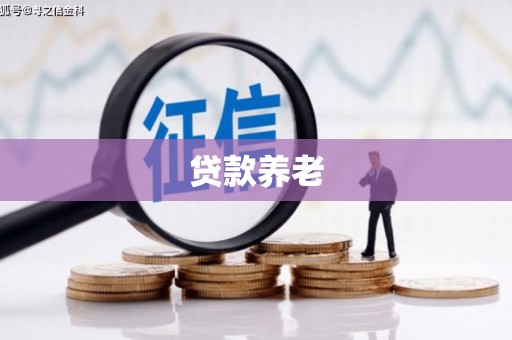 海宁贷款养老