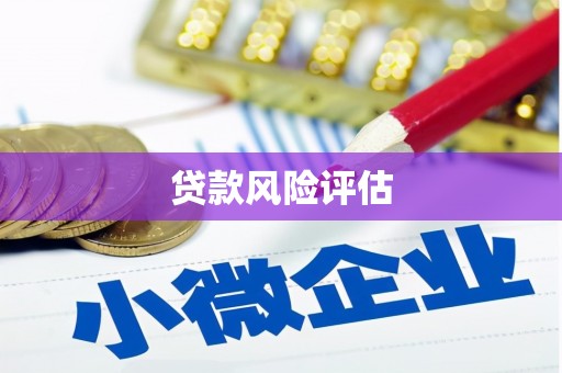 海宁贷款风险评估