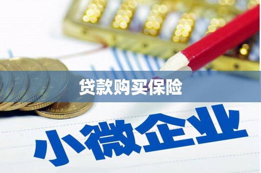 海宁贷款购买保险