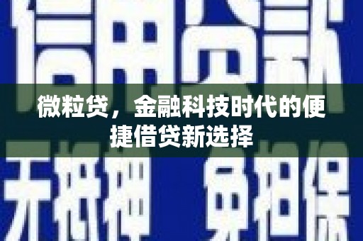 海宁微粒贷，金融科技时代的便捷借贷新选择