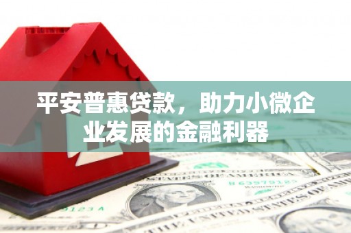 海宁平安普惠贷款，助力小微企业发展的金融利器