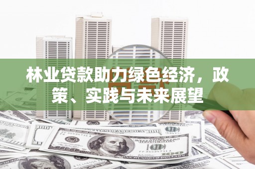 海宁林业贷款助力绿色经济，政策、实践与未来展望