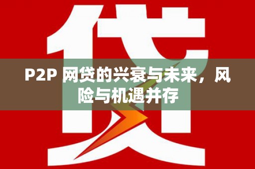 海宁P2P 网贷的兴衰与未来，风险与机遇并存