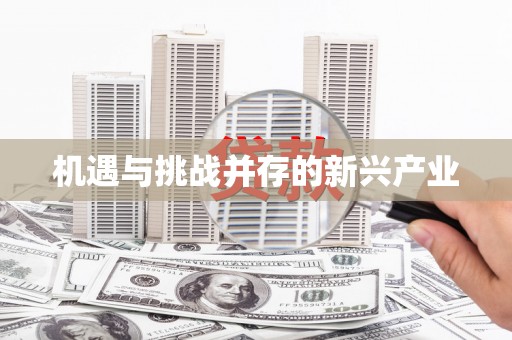 海宁机遇与挑战并存的新兴产业
