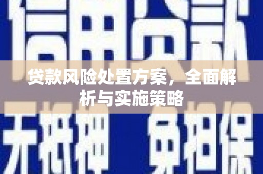 海宁贷款风险处置方案，全面解析与实施策略