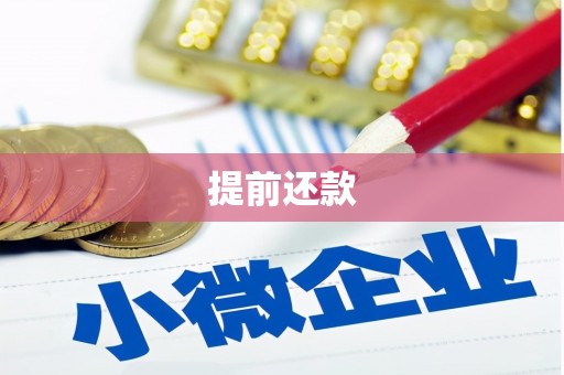 海宁提前还款